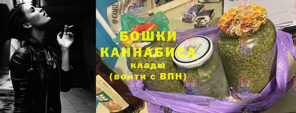 ешки Бронницы